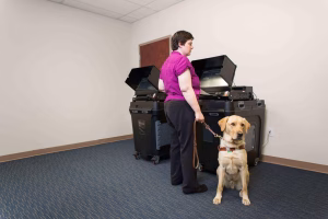 picture of people voting